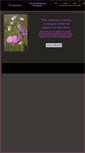 Mobile Screenshot of eyepiece.co.za